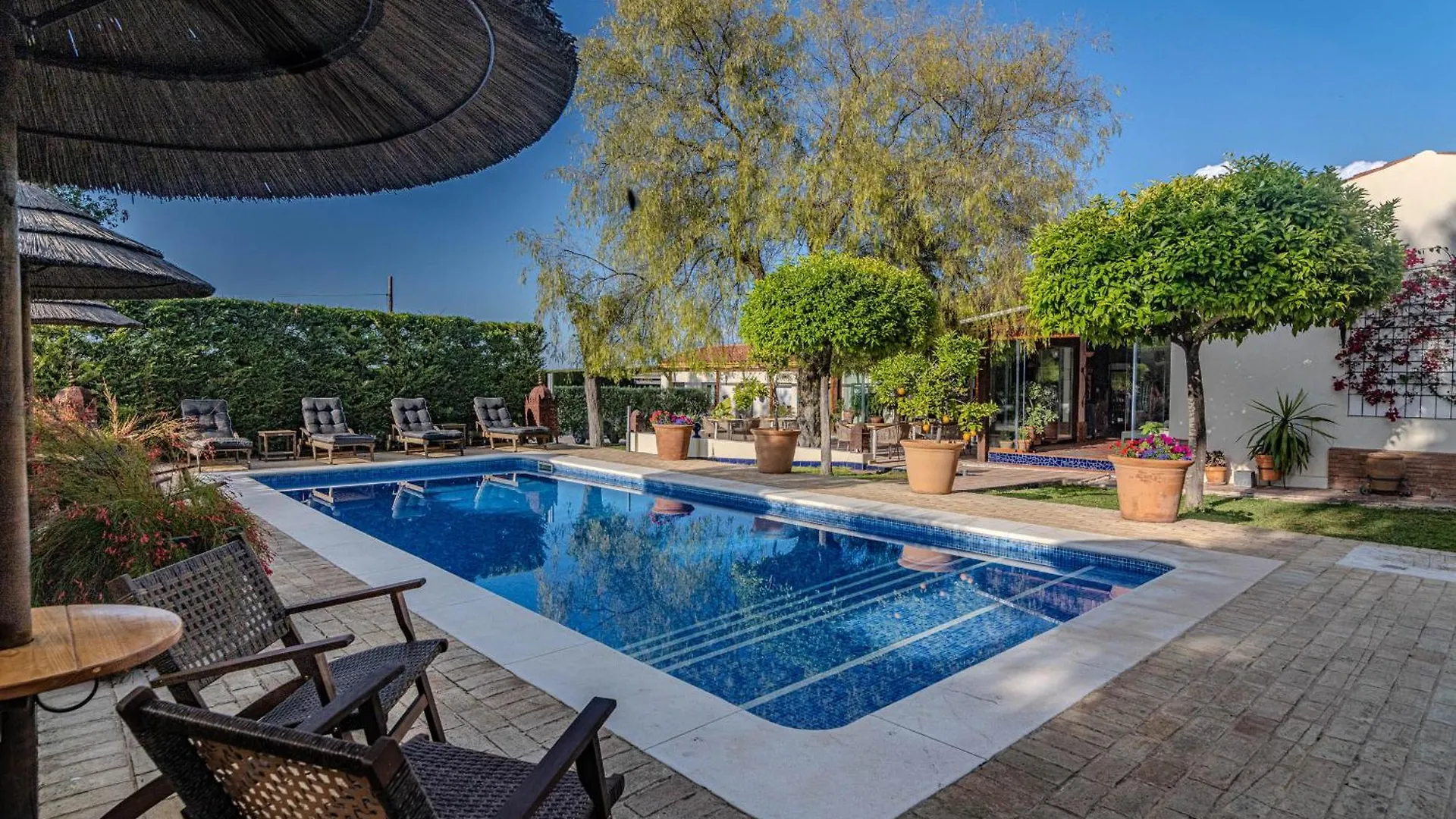 Bed & Breakfast B&B Casa Adelante Sevilla Espartinas